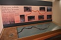 Kanary_2010 188